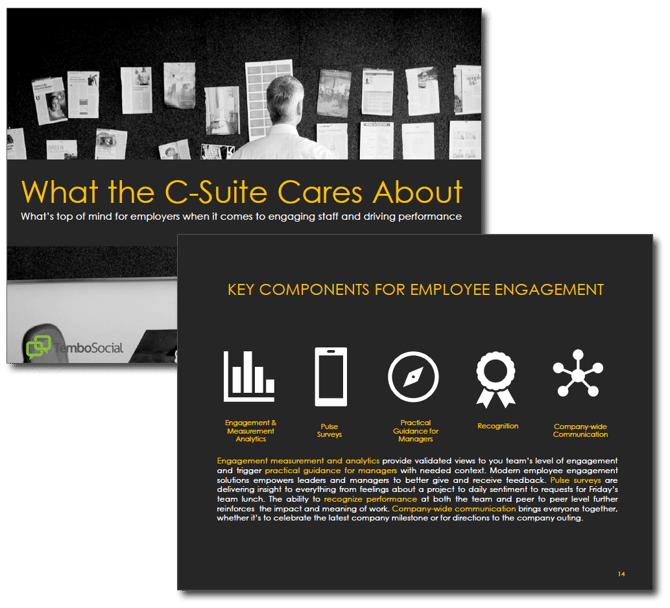 HRWins Report - What the C-Suite Cares About