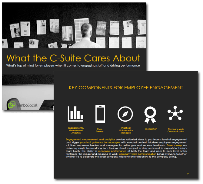 HRWins Report - What the C-Suite Cares About HRWins Report - What the C-Suite Cares About